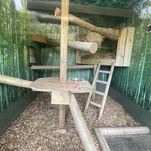 Indoor red panda enclosure