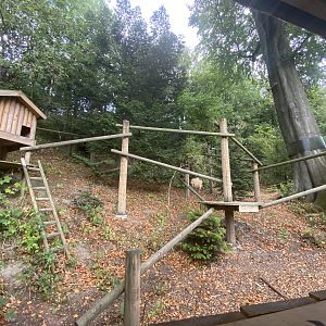 Outdoor red panda enclosure