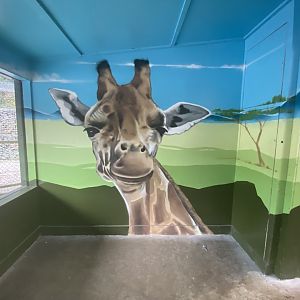 Giraffe mural