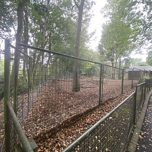 Tapir and capybara enclosure