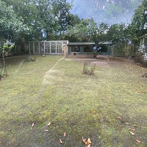 Parma wallaby outdoor enclosure