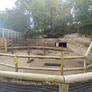 Barbary sheep paddock