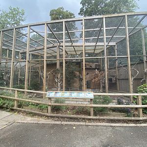 Mixed aviary