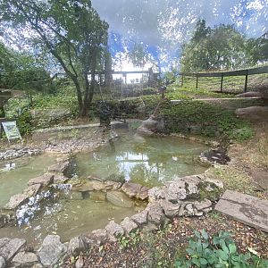 Asian short clawed otter enclosure