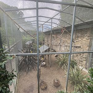 Macaw and conure aviary