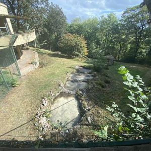 Asiatic lion enclosure