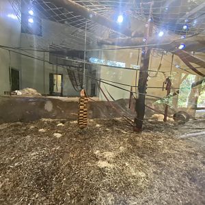 Indoor orangutan enclosure 2