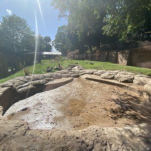 African wild dog enclosure 1