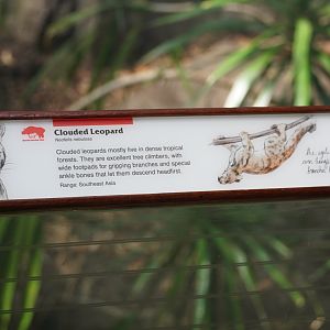 Clouded Leopard Signage