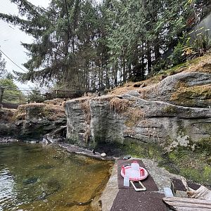 Seabird Aviary - Rocky Shores