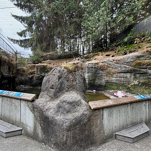 Seabird Aviary - Rocky Shores