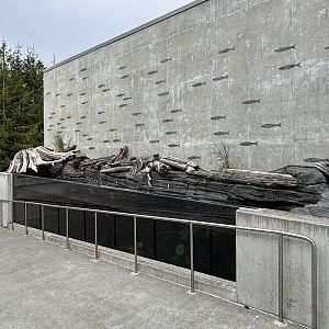 Tidal Surge Tank - Pacific Seas Aquarium