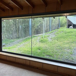 Asian Forest Sanctuary - rotational exhibit