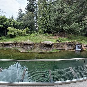 Asian Forest Sanctuary - Lowland Anoa was there