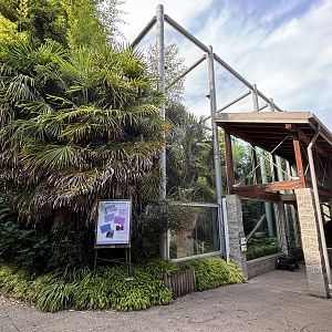 Clouded Leopard Exhibit