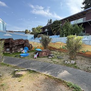 Ex-Parma Wallaby Exhibit