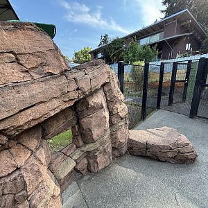 Ex-Parma Wallaby Exhibit