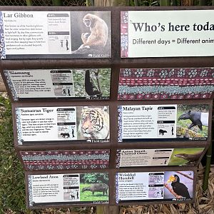 Asian Forest Sanctuary - rotational exhibit signage