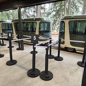 Electric Trams - New in 2024