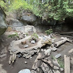 American Badger Exhibit