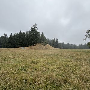 Tram Tour - 40 minutes and 435 acres