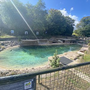Patagonian sea lion enclosure