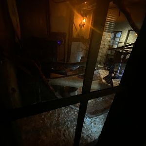 Black rat enclosure 2nd viewing area