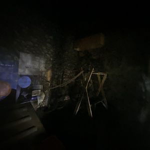 Egyptian fruit bat enclosure