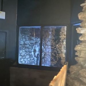 2nd fruit bat enclosure