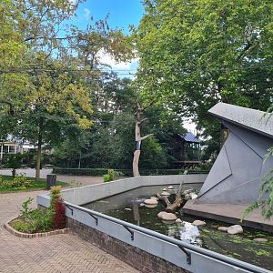 New enclosure for red panda and Small-clawed otter