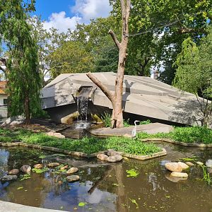 New enclosure for red panda and Small-clawed otter