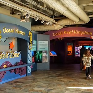 'Splash Zone' (final look)