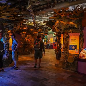 'Splash Zone: Coral Kingdom' (final look)