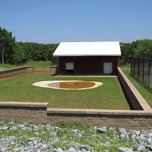 Brights Zoo Aldabra Giant Tortoise (Aldabrachelys gigantea) 07/04/2025 Enclosure