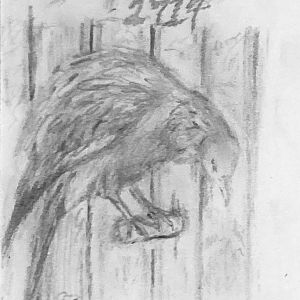 Martha—“Last of her kind”