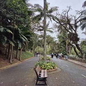 Zone number 6, Primates, Penguins and  Aiviaris