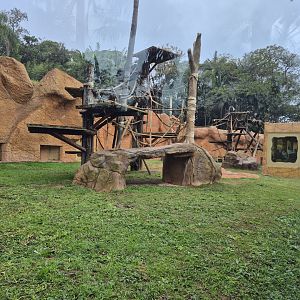 Chimpanzee exhibit