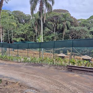 Primate exhibits,  Safari