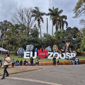 Centerpiece of the Zoo