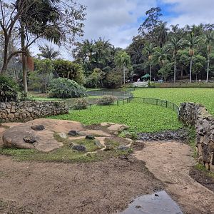 Tapir/Capibara exhibit