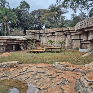 Siberian Tiger exhibit