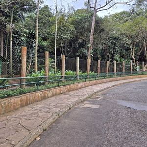 Giant Anteater/ Gray Brocket exhibit