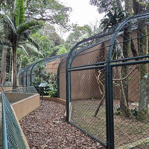 Birds of Pray aviaries