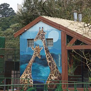 Giraffe House