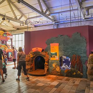 Coral Play Zone (final look)