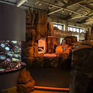 Tidal Zone (final look)