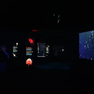 'Into the Deep' Midwater Gallery (entrance)