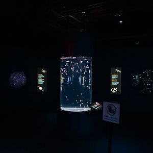 'Into the Deep' Midwater Gallery (left side)