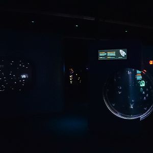 'Into the Deep' Midwater Gallery (middle of the gallery)