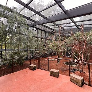 Rainbow Lorikeet Indoor Walkthrough Aviary